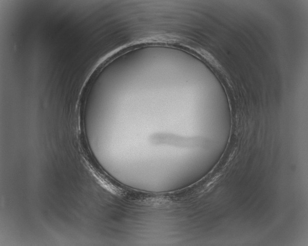 X0000082140838200702092123