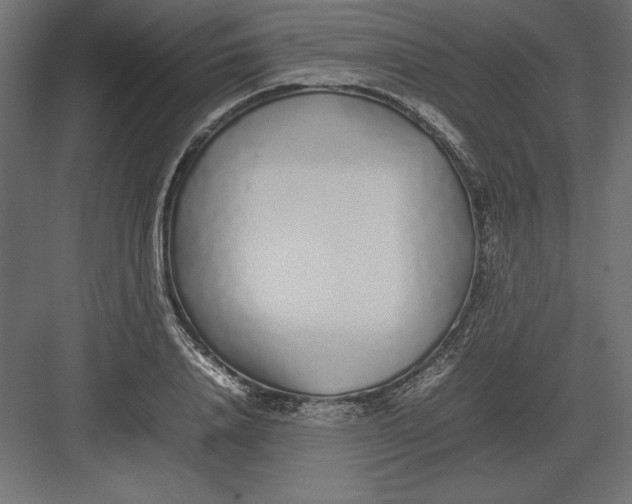 X0000082140840200702092123