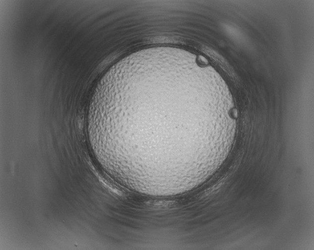 X0000082140841200702092123