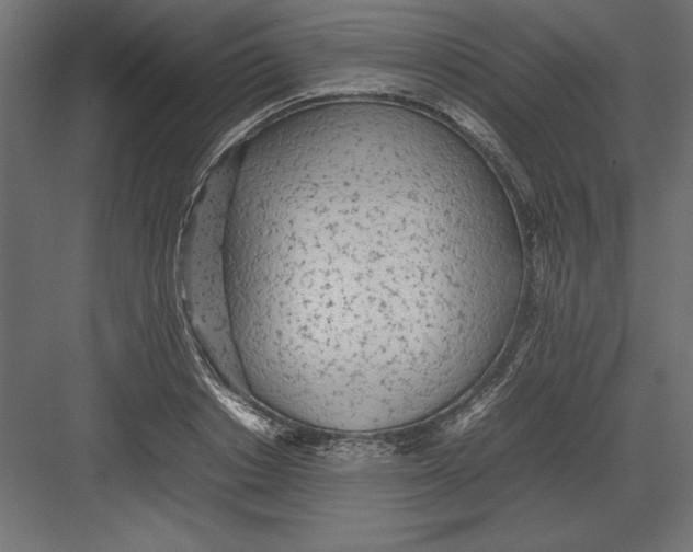 X0000082140842200702092123