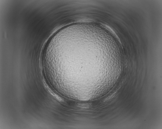 X0000082140843200702092123