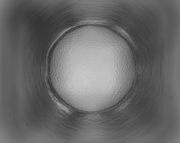 X0000082140844200702092123