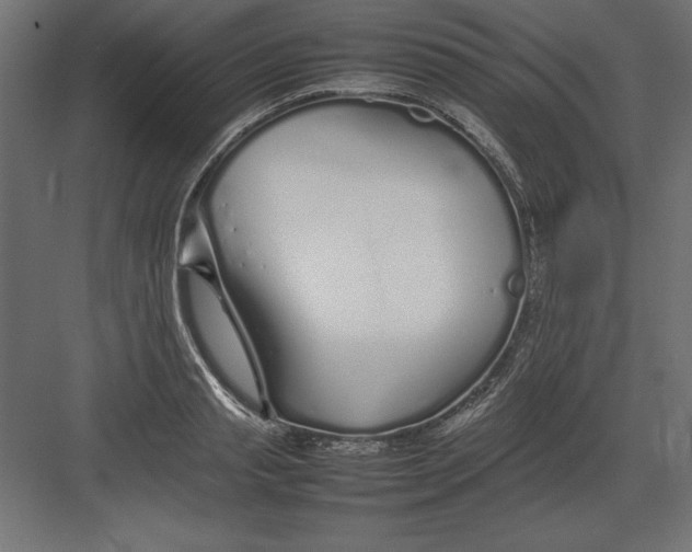 X0000082140845200702092123