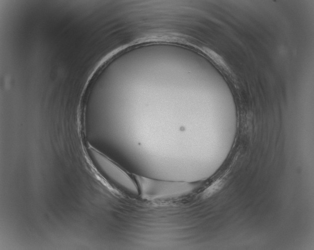 X0000082140846200702092123