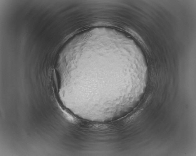 X0000082140849200702092123