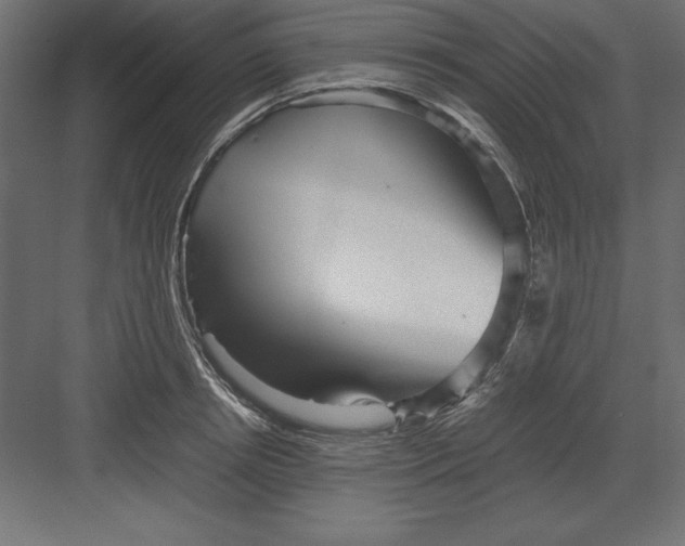 X0000082140850200702092123