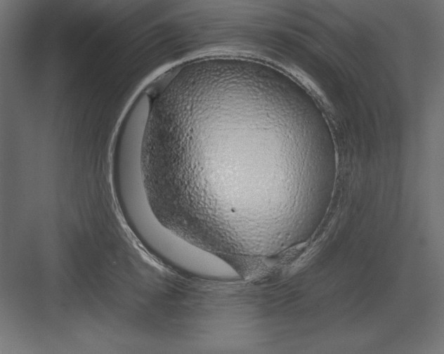 X0000082140854200702092123