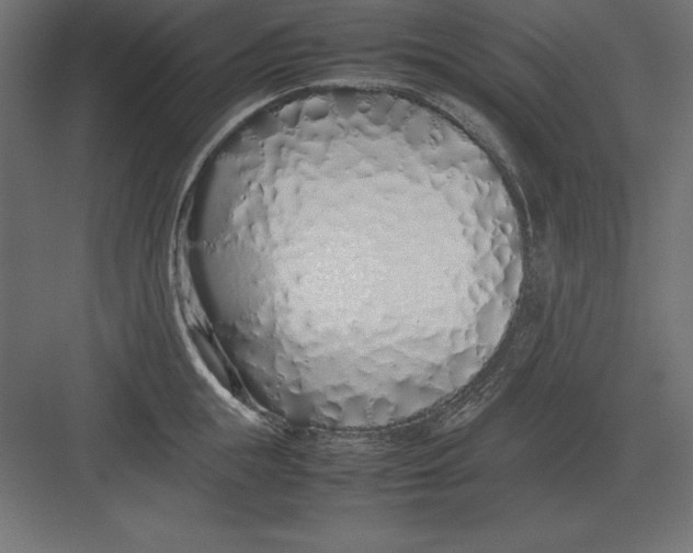 X0000082140855200702092123