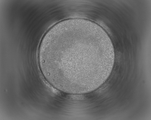 X0000082140856200702092123