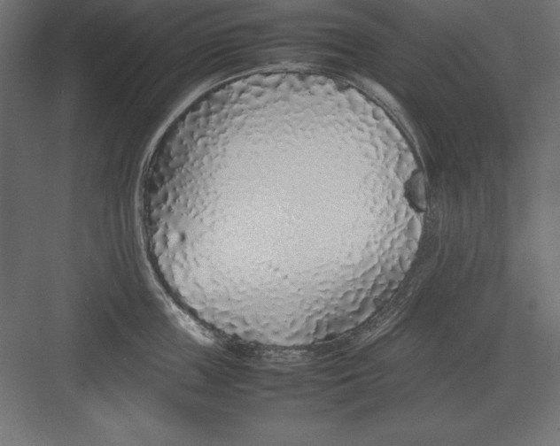 X0000082140859200702092123