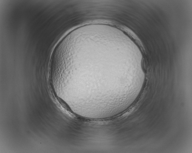 X0000082140860200702092123