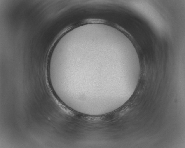 X0000082140861200702092123