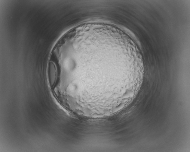 X0000082140863200702092123