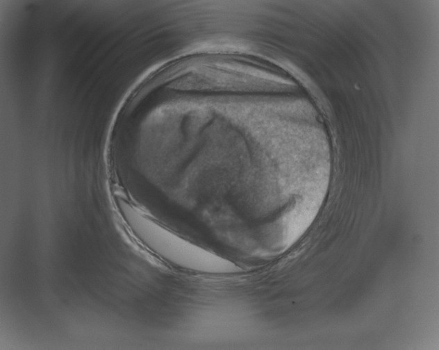 X0000082140864200702092123