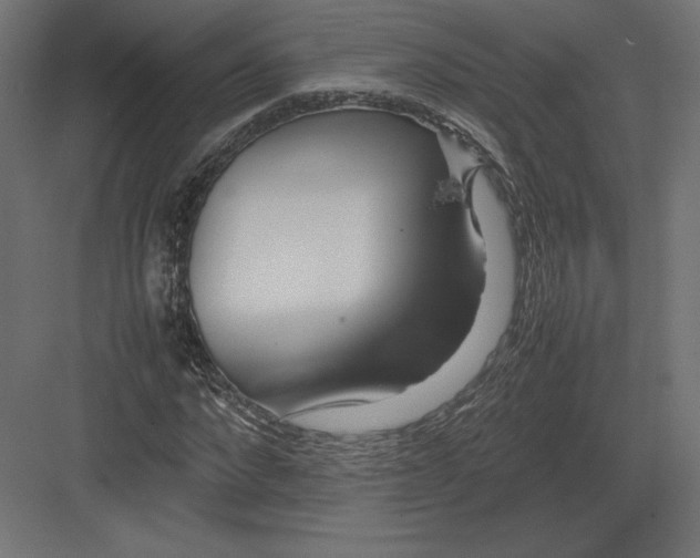 X0000082140872200702092122