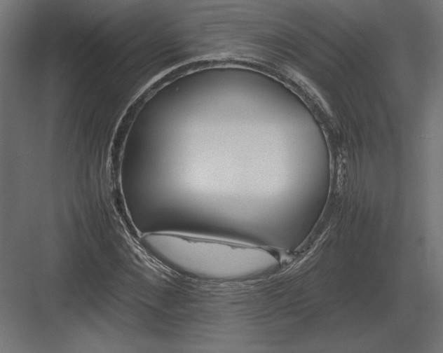 X0000082140876200702092122