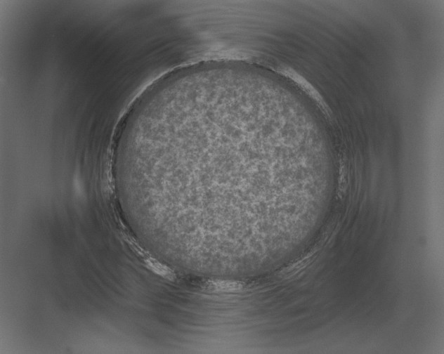 X0000082140878200702092122