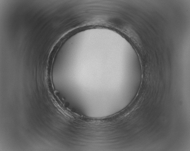 X0000082140880200702092122