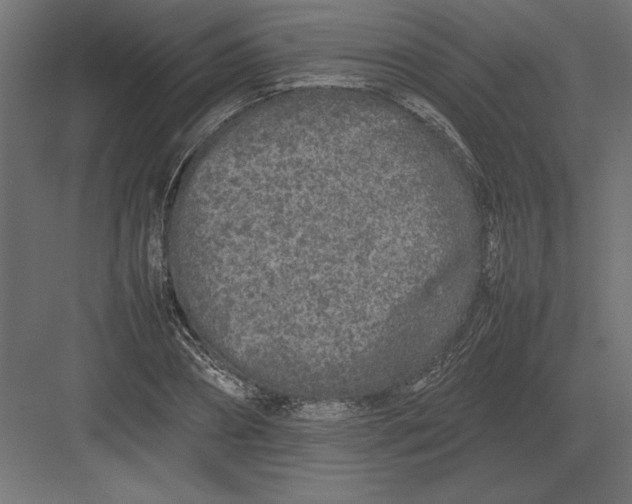 X0000082140882200702092122