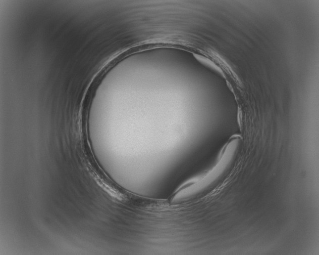 X0000082140884200702092122