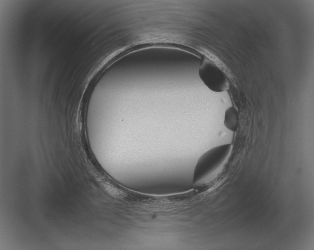 X0000082140885200702092122