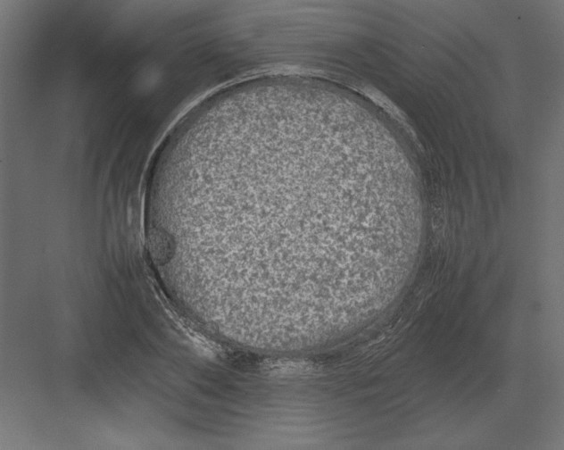 X0000082140886200702092122