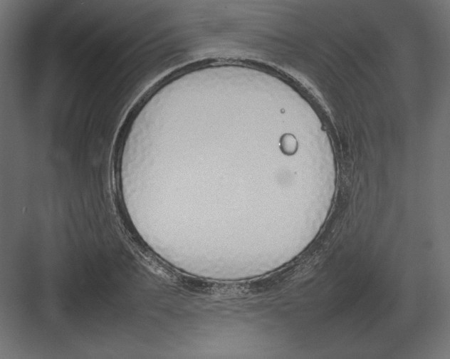 X0000082140887200702092122