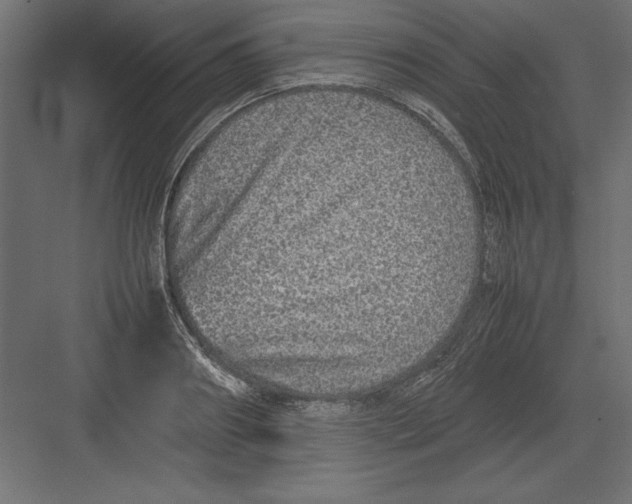 X0000082140890200702092122