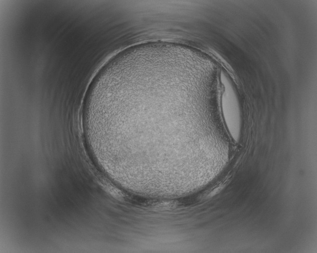 X0000082140891200702092122