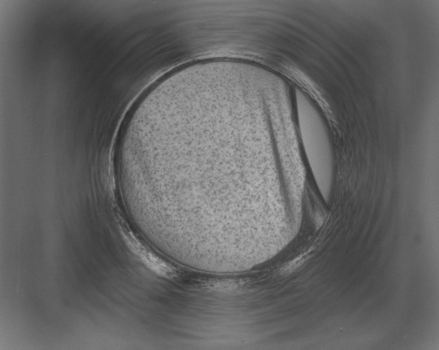 X0000082140892200702092122