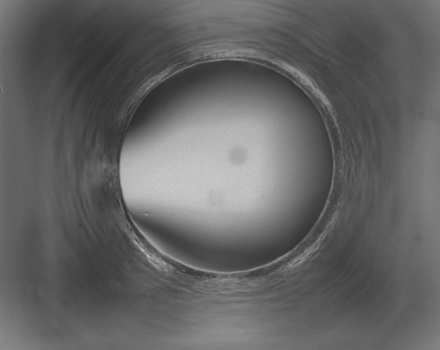 X0000082140897200702092122