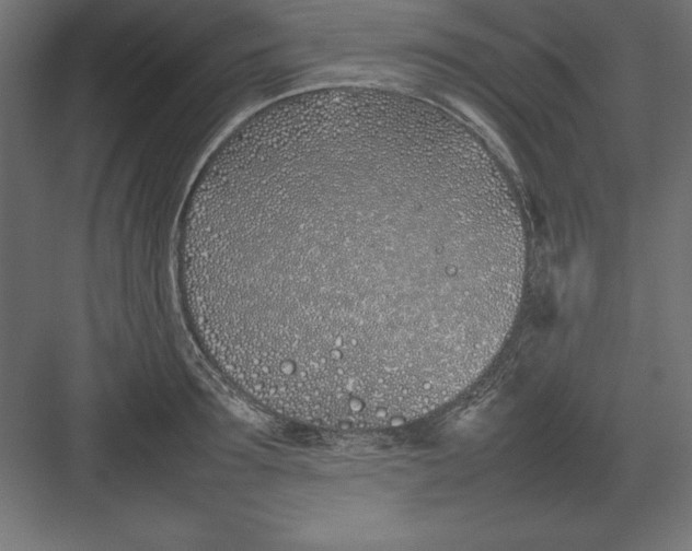 X0000082140899200702092122