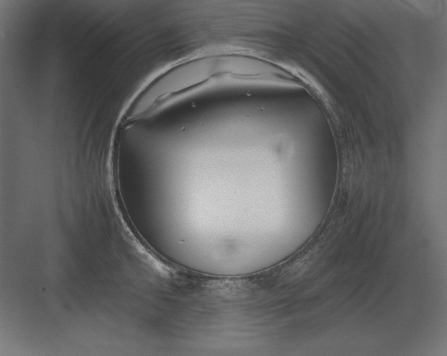 X0000082140902200702092122