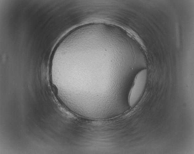 X0000082140904200702092122