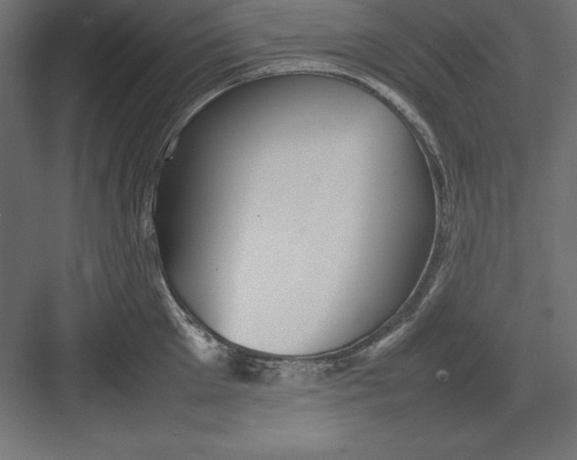 X0000082140905200702092122