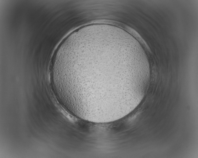 X0000082140908200702092122