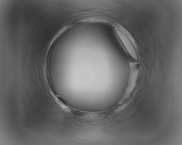 X0000082140909200702092122