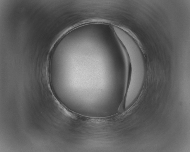 X0000082140910200702092122