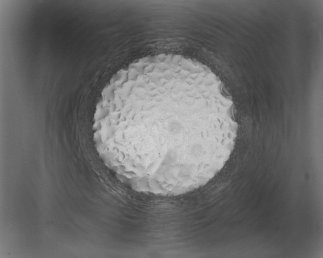 X0000082140913200702092121