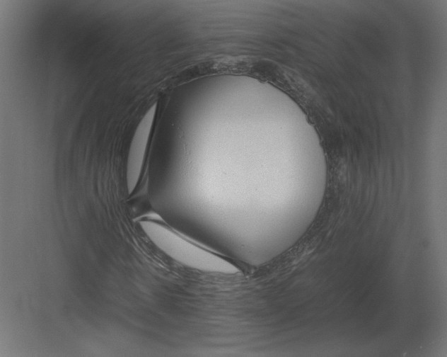 X0000082140914200702092121