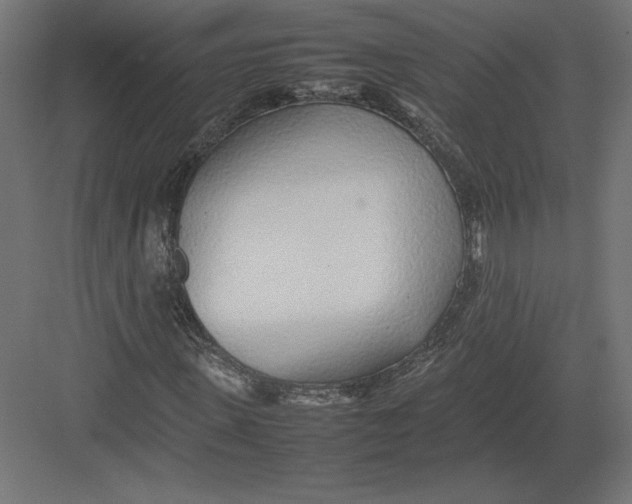 X0000082140915200702092121