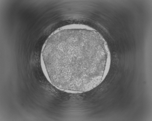 X0000082140918200702092121