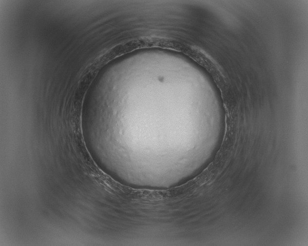 X0000082140919200702092121