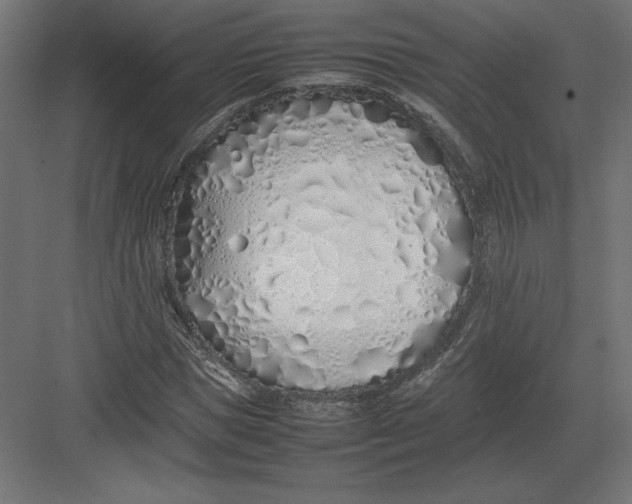 X0000082140921200702092121