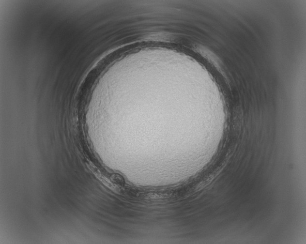 X0000082140923200702092121