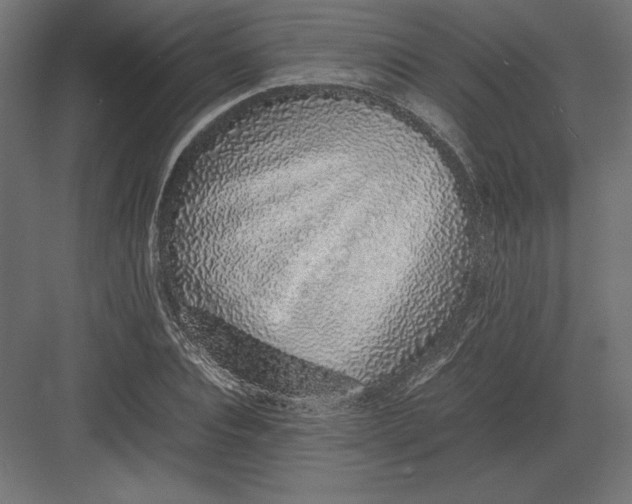 X0000082140928200702092121