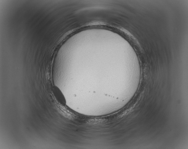 X0000082140929200702092121