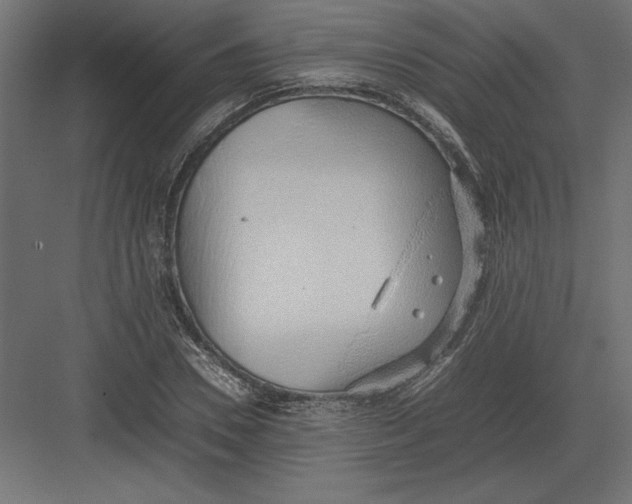 X0000082140930200702092121