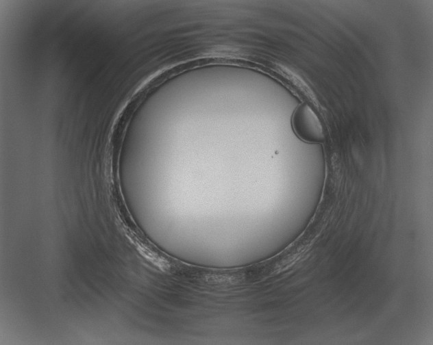 X0000082140931200702092121