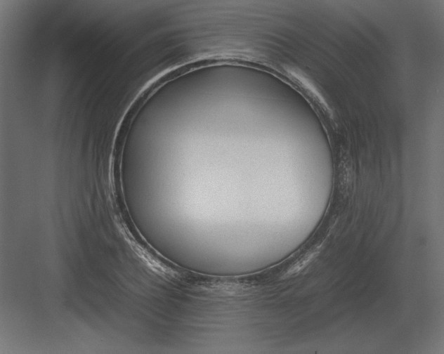 X0000082140932200702092121